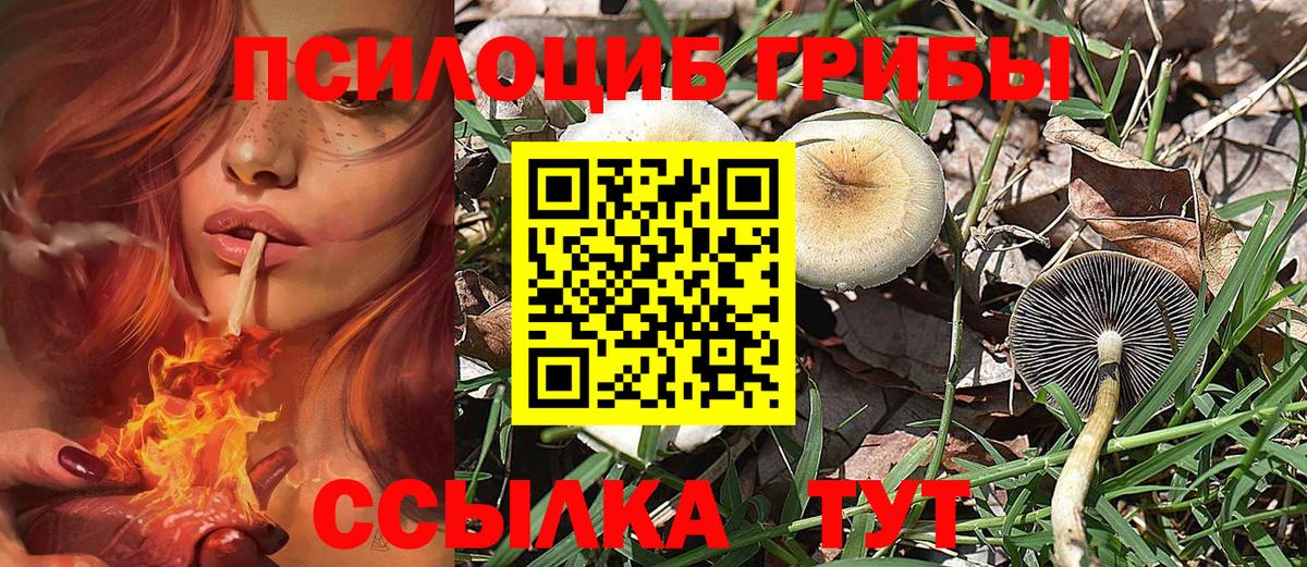 Псилоцибиновые грибы мухоморы Сатка