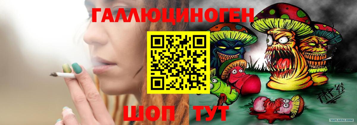 сколько стоит  Вход с VPN  Сатка  Псилоцибиновые грибы Psilocybine cubensis 